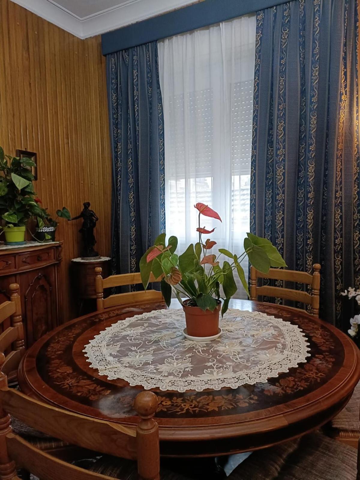 Domus Cesena Ξενοδοχείο Εξωτερικό φωτογραφία